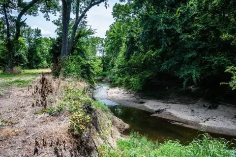 30 Acres of Picturesque Land