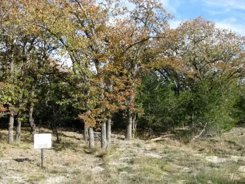 Serene Land Parcel in Evant, TX