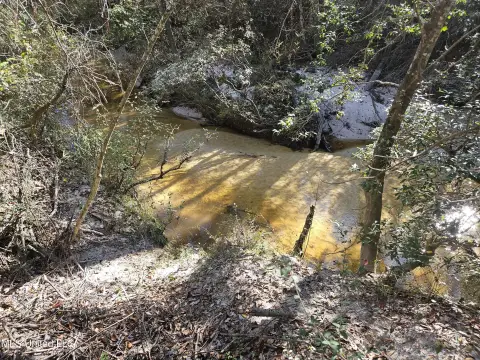 Gulfport Hunting Land For Sale