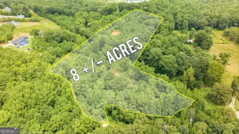 Undeveloped Acreage with Cleared Driveway