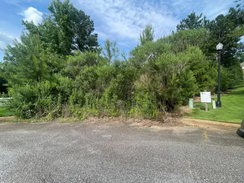 Midland, GA Wooded Building Lot