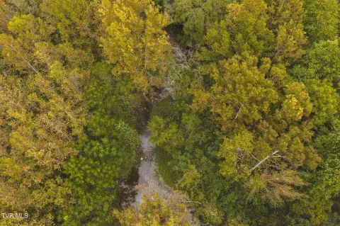 Hunting Land with Creek and Ponds