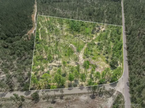 Lumberton Land with Pine Timber