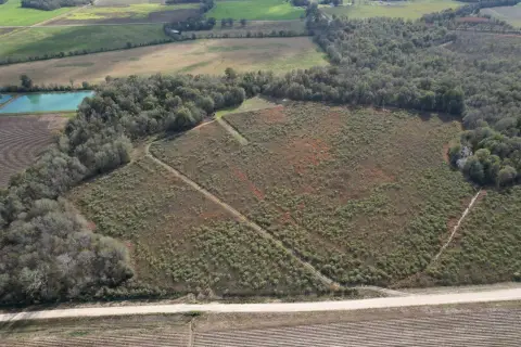 Hunting Land with Hardwood Cover