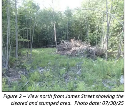 Land in Bethlehem, NH