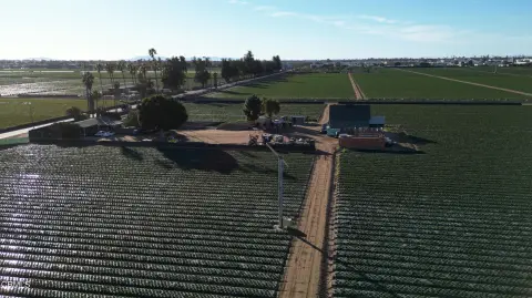 Strawberry Row Crop Farmland