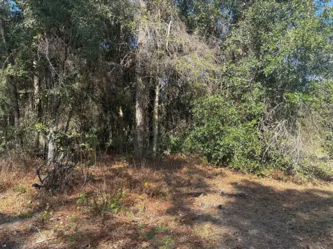 Homosassa Land For Sale