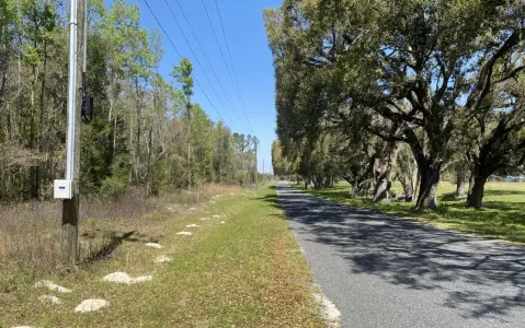 Live Oak Residential Acreage