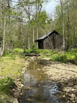 Wooded Hunting Retreat with Cabin