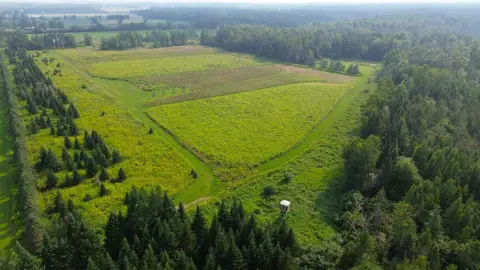 Hunting Tract with Food Plots