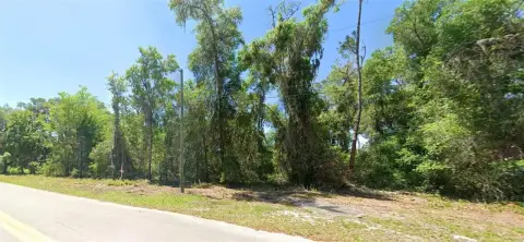 Waterfront Land Lot