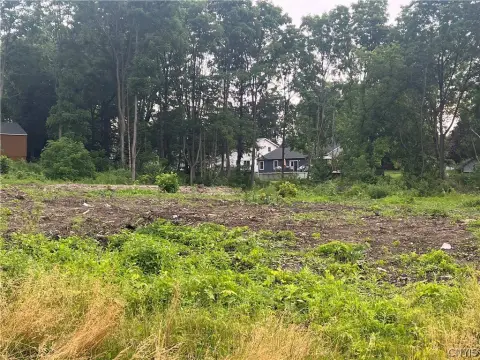 Residential Land in Homer, NY