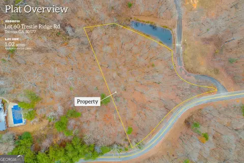 Residential Land in Toccoa, GA