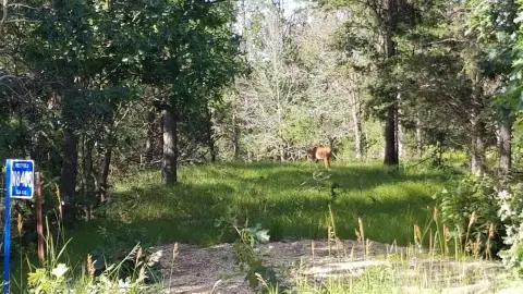 Scenic Land Parcel Near I-39