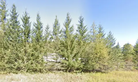 9-Acre Vacant Land Parcel
