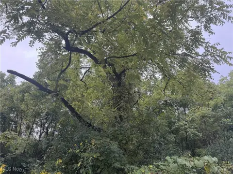 Woodsfield, OH Hunting/Recreational Land