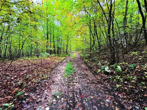 Wooded Hunting Land