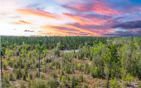 Live Oak Residential Land Parcel