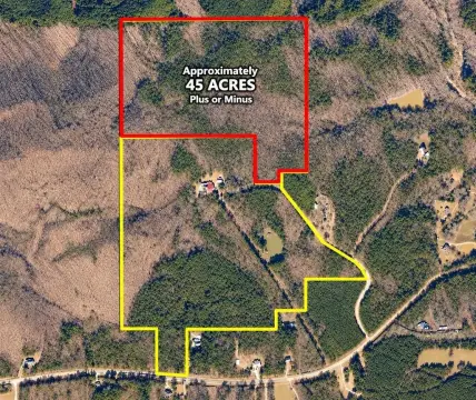 45-Acre Hunting Land with Trails
