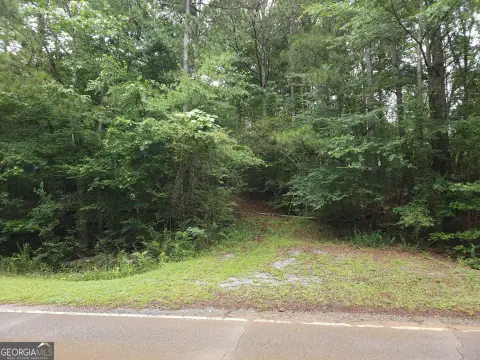 Wooded Residential Recreation Land