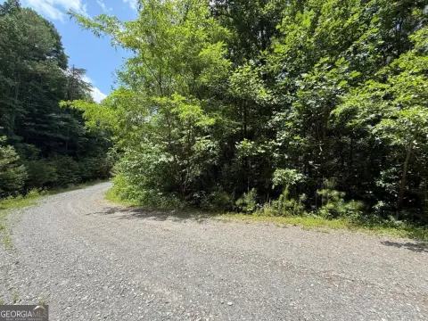 Mountain Homesite in Gated Community