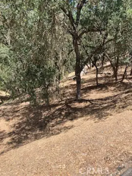 Land with Easterly Morning Views