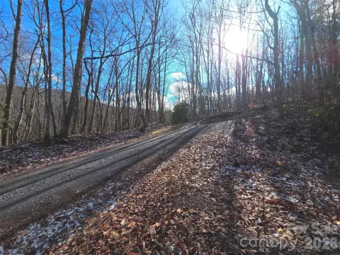 Forested Land Near Blue Ridge