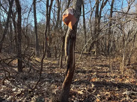 Pope County Hunting and Recreation Land