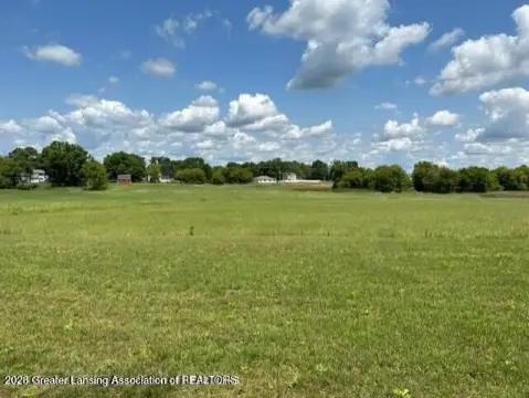 Residential Land in Laingsburg, MI