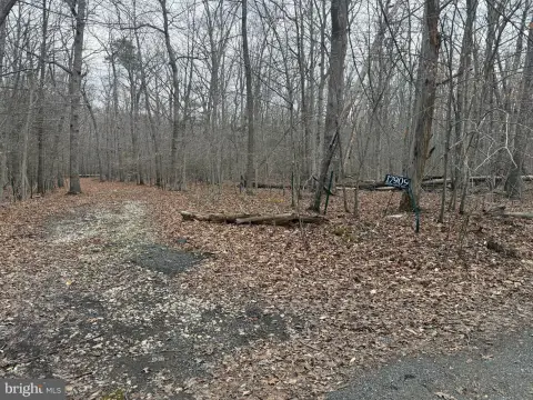10.36 Acre Lot