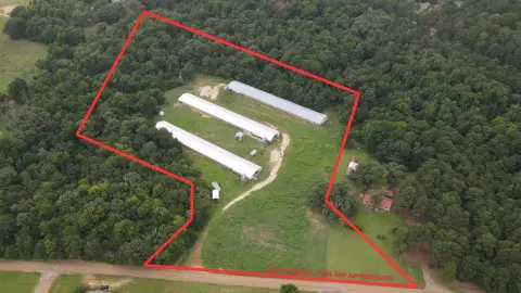 Poultry Farm with Three Houses