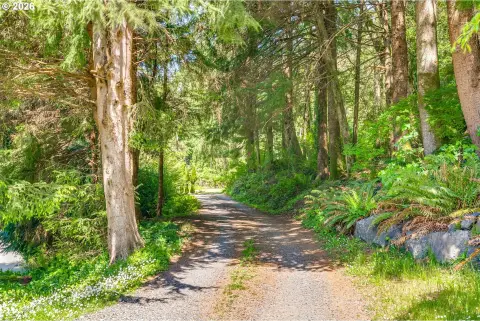 Oregon Coast Land Opportunity