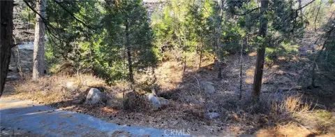 Secluded Lot Near Lake Arrowhead