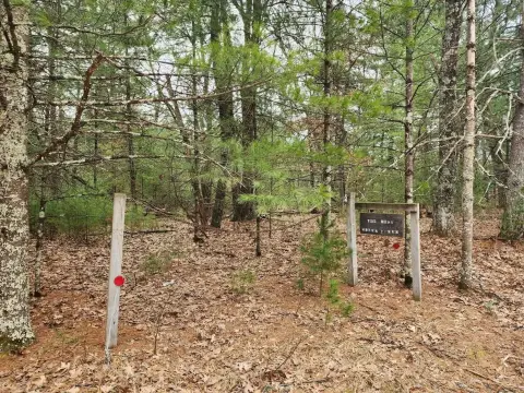 Secluded Hunting Land Near Lake