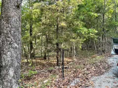 Land Bordering Bull Shoals Lake