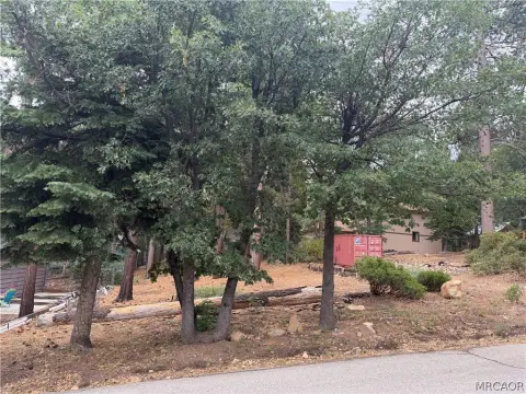 Residential Homesite with Road Frontage