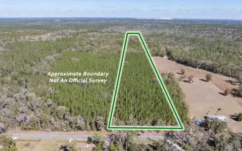 Wooded Land in Suwannee County