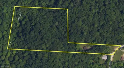 Wooded Land with Rustic Cabin