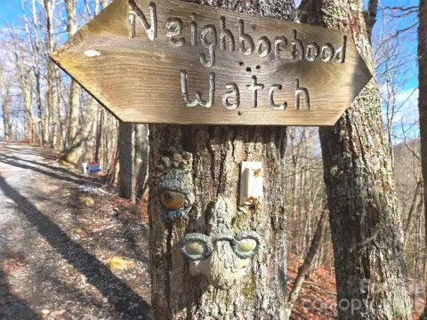 Maggie Valley Land with Views