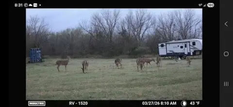 Hunting Land with RV Sites