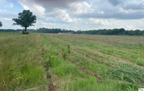 Agricultural Land for Pasture Use