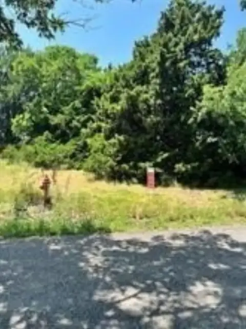 Unimproved Land in Princeton, TX