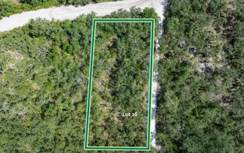 Residential Lot Near Suwannee River