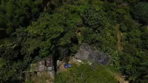 Agricultural Land in Utuado, PR
