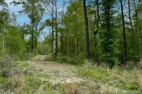 Unrestricted Land Near Moss Bluff
