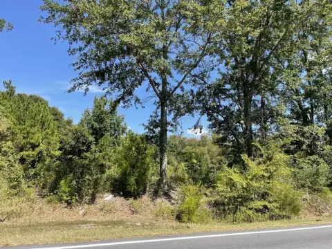 Commercial Land