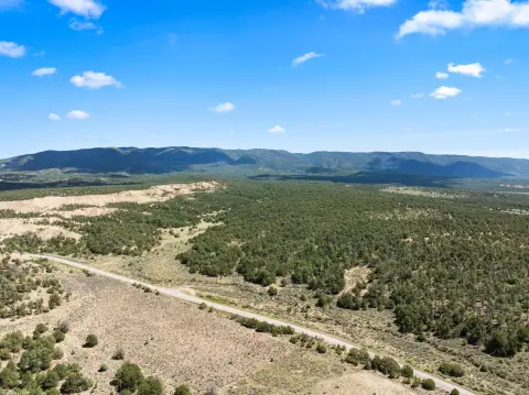 6.53 Acre Property in La Jara
