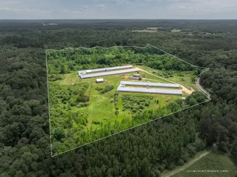 Poultry Egg Farm on 44 Acres