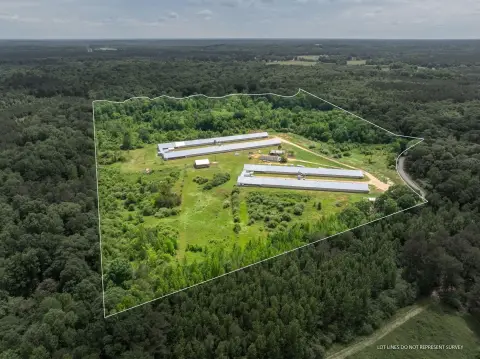 Four-House Egg Farm