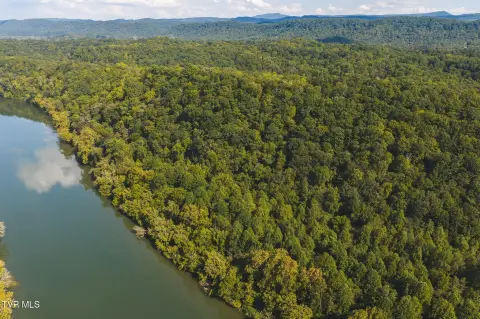 Wooded Holston Riverfront Land